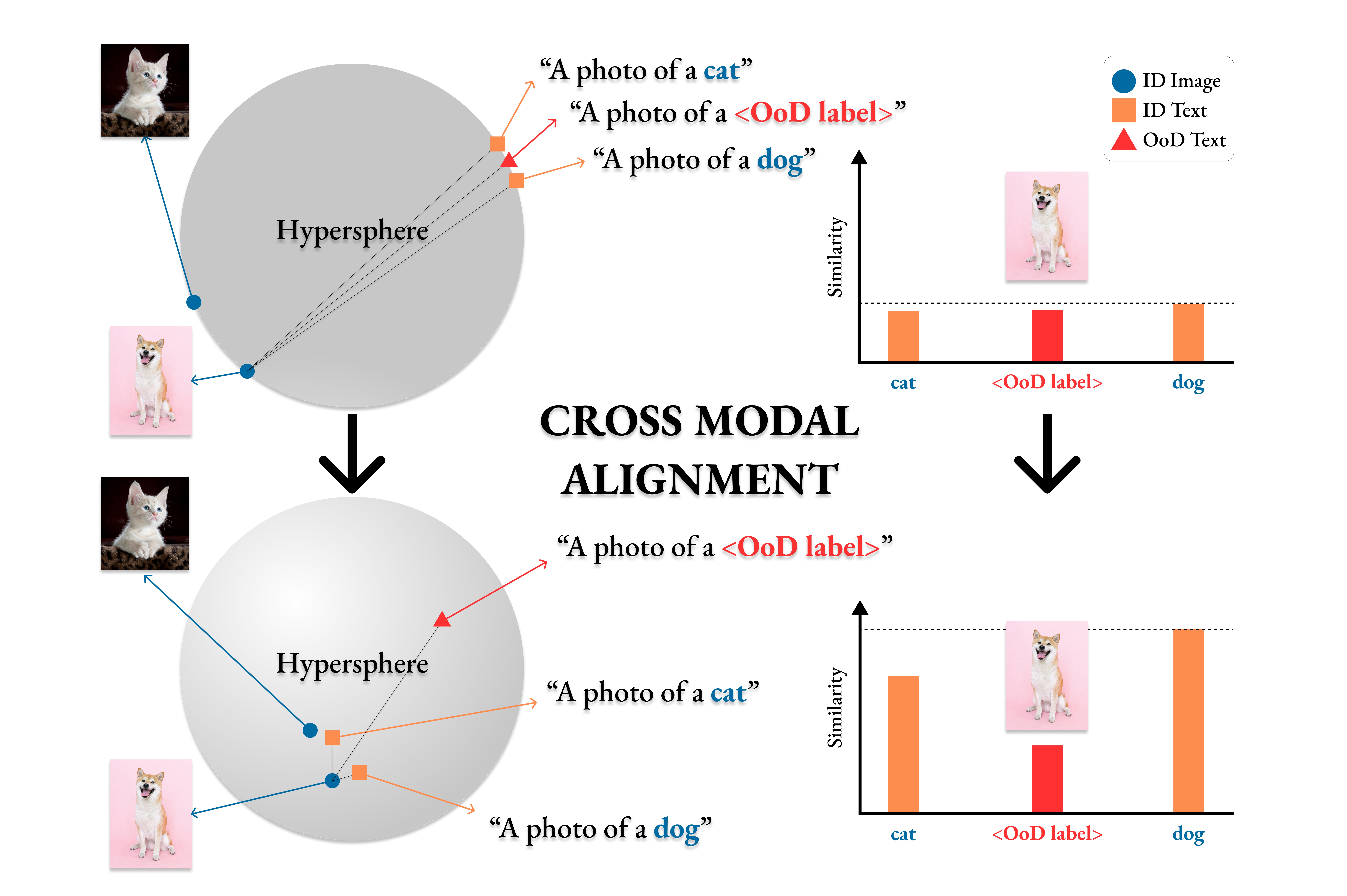 Enhanced OoD Detection through Cross-Modal Alignment of Multi-Modal Representations